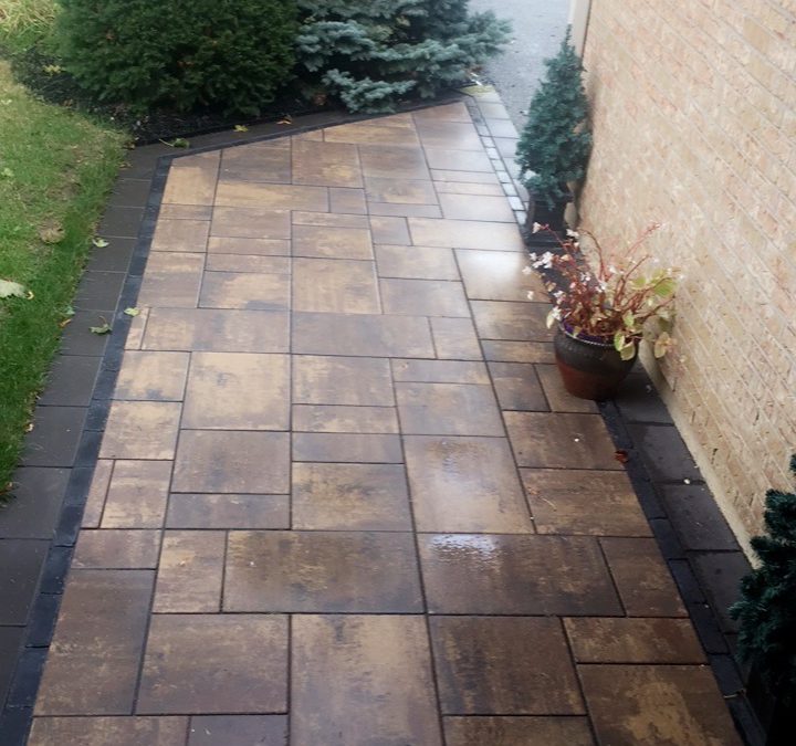 Minimalist Landscaping: Crafting Purposeful Beauty in Every Corner