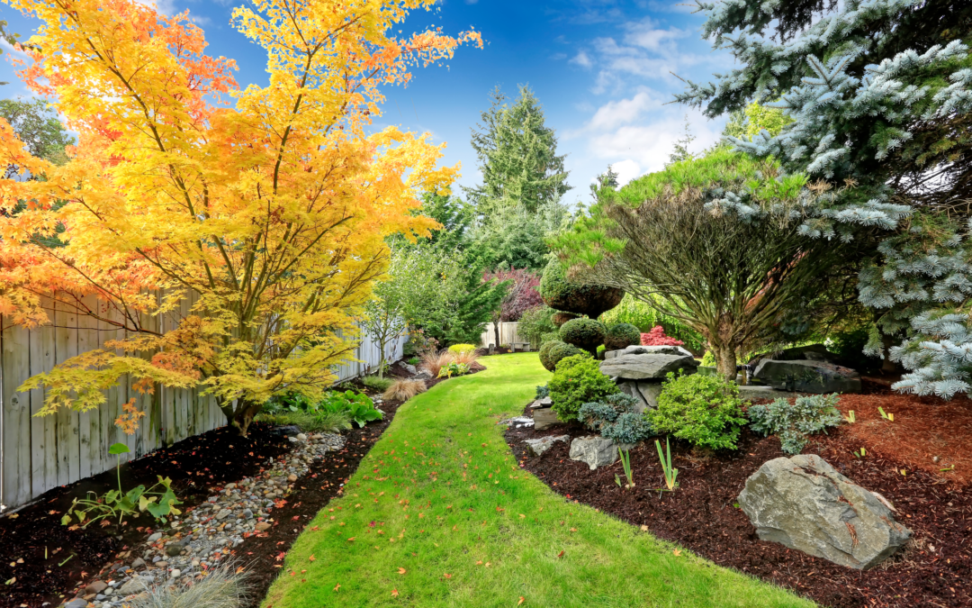 10 Helpful Tips for A Perfect Landscape Design