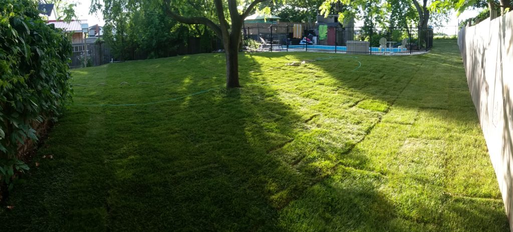 Do's and Don'ts of Sod Care
