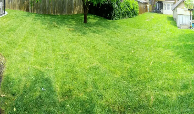 Common Sod Installation Mistakes